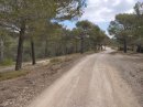 Direction le Terme de Judas